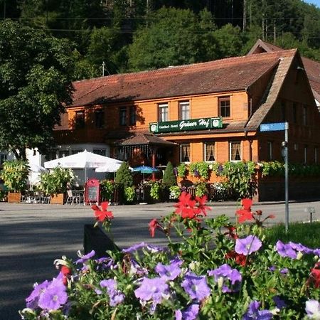 ホテル Gruener Hof ツェル・アム・ハルマースバッハ エクステリア 写真